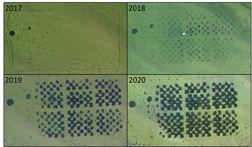 Dronebillede af området i 2017, 2018, 2019 og 2020