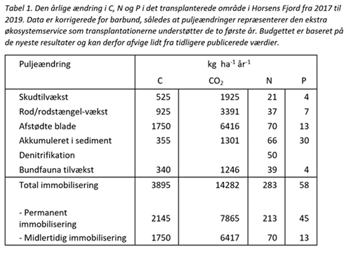 Tabel med resulaterne