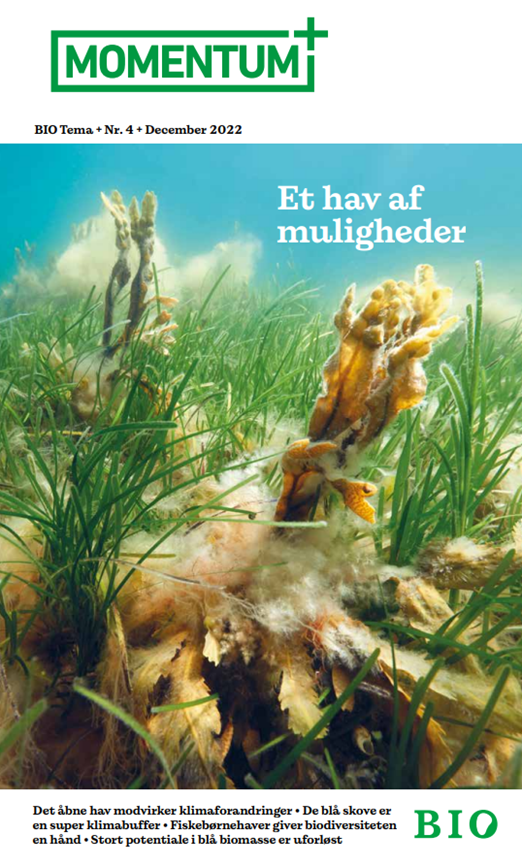 Momentum - et hav af muligheder