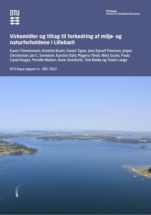 Publikation vedr. Virkemidler i Lillebælt