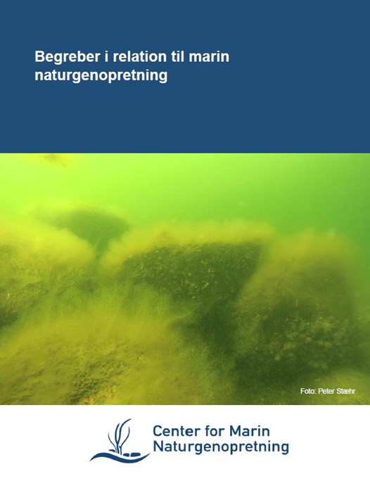 Publikation vedr. Virkemidler i Lillebælt