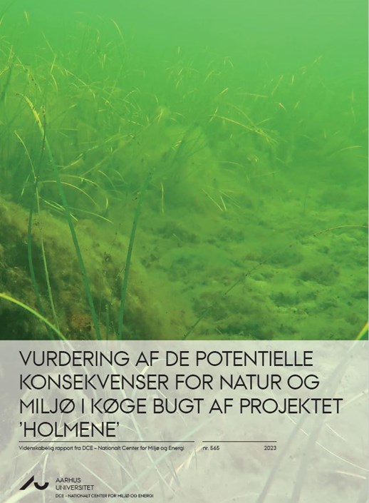 Vurdering af potentielle konsekvenser