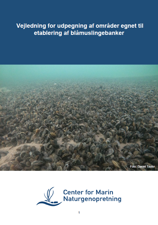 Vejledning for udpegning af områder egnet til etablering af blåmuslingebanker