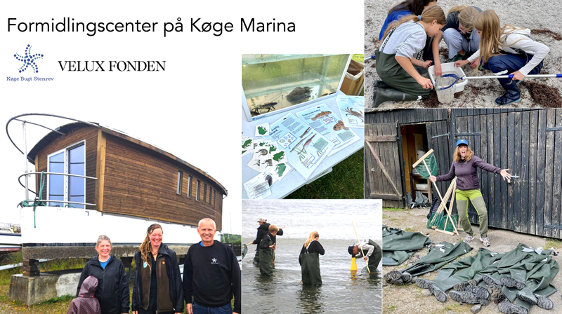 Formidlingscenter på Køge Marina