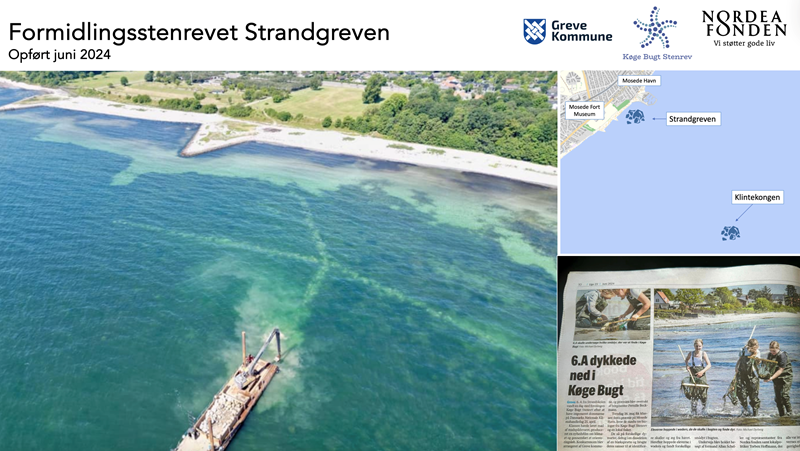 Formidlingsrevet Strandgreven