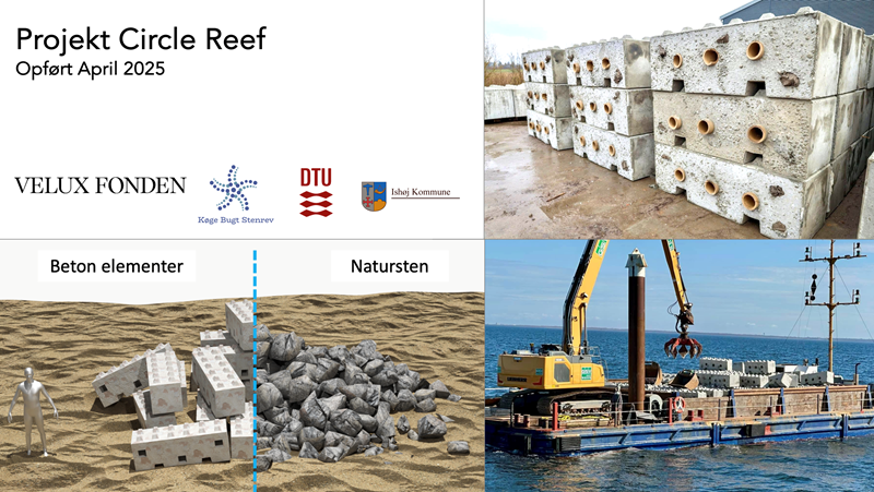 Projekt Cirkle Reef